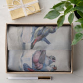 Zoete vogels met blauwe en rode veren waterverf tissuepapier (Geschenk)