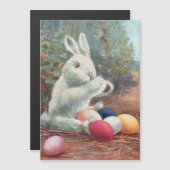 Zoete  Witte Bunny met paaseieren (Voorkant / Achterkant)