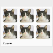 Zoete witte en zwarte keuken vierkante sticker (Vel)