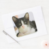 Zoete witte en zwarte keuken vierkante sticker (Envelop)