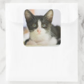 Zoete witte en zwarte keuken vierkante sticker (Tas)