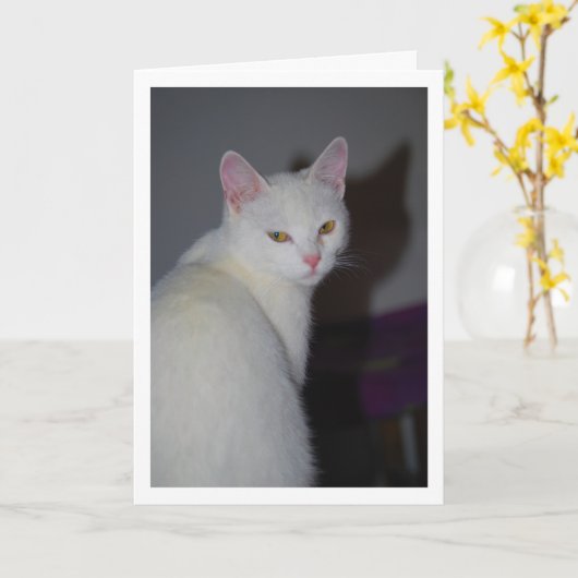 Zoete witte kitten portret kaart (Gele Bloem)