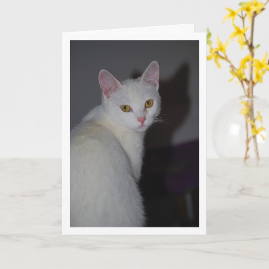 Zoete witte kitten portret kaart (Gele Bloem)