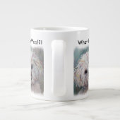 ZOETE WITTE MALTEZER YORKIE MIX GROTE KOFFIEKOP (Achterkant)