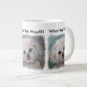 ZOETE WITTE MALTEZER YORKIE MIX GROTE KOFFIEKOP (Voorkant rechts)