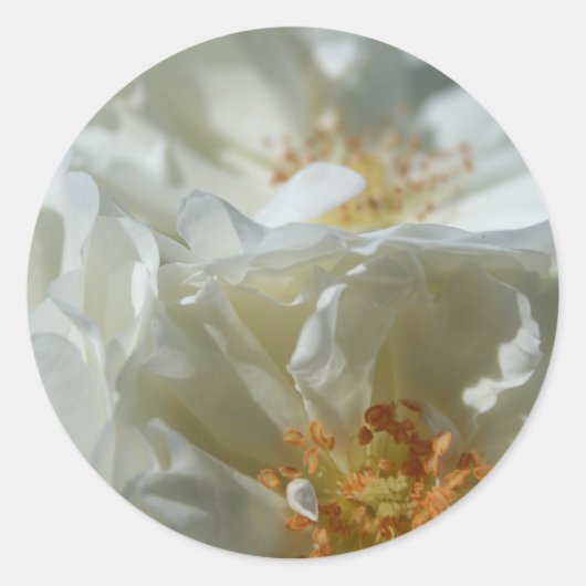 Zoete Witte Ronde Sticker 1 (Voorkant)