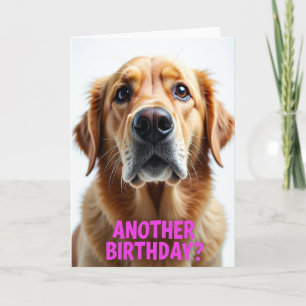 Zoete Zielige Hond Kaart