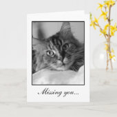 Zoete zwart-witte foto van gestreepte katkat kaart (Gele Bloem)