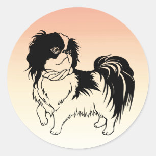 Zoete zwarte en witte hond op Oranje sticker