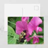 Zoeterwt en bijen briefkaart (Voorkant / Achterkant)