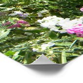 Zoeterwten in de lente... poster (Hoek)