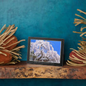 Zoetkersboom ("Nara Ichiban-Zakura") Fotoplaat (Zijkant)