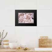 Zoetkersboom ("Nara Ichiban-Zakura") Poster (Keuken)