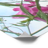 zoetpeper poster (Hoek)