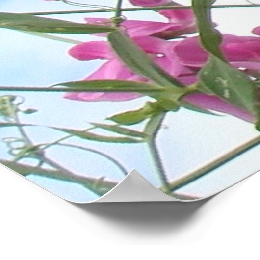 zoetpeper poster (Hoek)