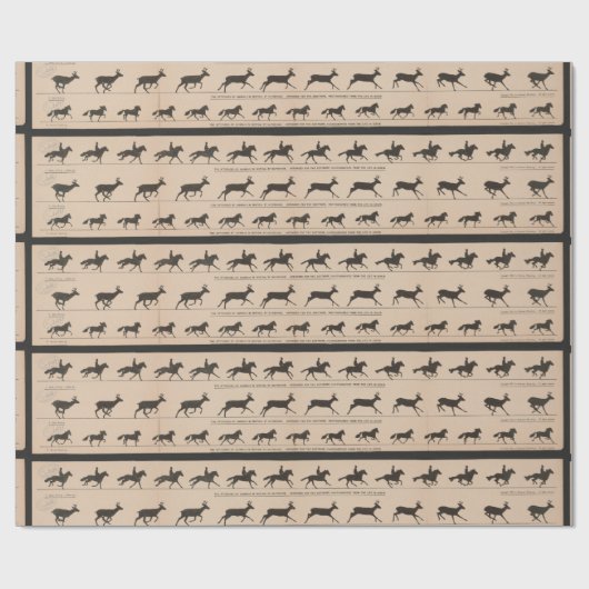 Zoetrope antiek animatie cadeaupapier (Vlak)