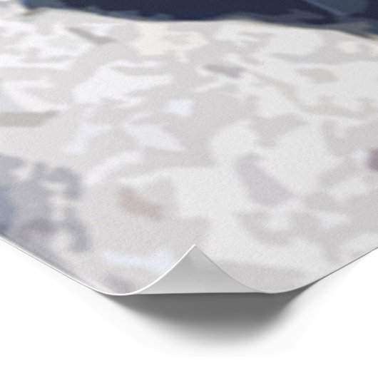 zoetwaterslangen (getextureerd) poster (Hoek)