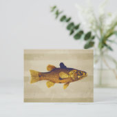  zoetwatervis Ilustratie Briefkaart (Staand voorkant)