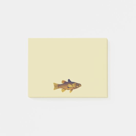 zoetwatervis Ilustratie Post-it® Notes (Voorkant)