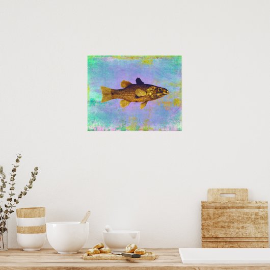  zoetwatervis Ilustratie Poster (Keuken)