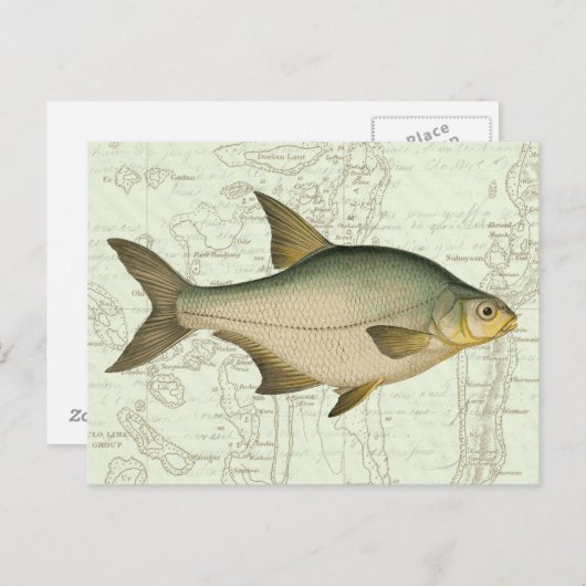 Zoetwatervis op kaart (Voorkant / Achterkant)