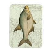 Zoetwatervis op kaart magneet (Verticaal)