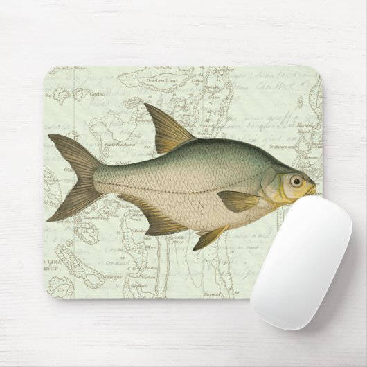 Zoetwatervis op kaart muismat (Met muis)