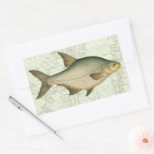 Zoetwatervis op kaart rechthoekige sticker (Envelop)