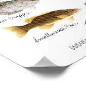 zoetwatervis Poster (Hoek)