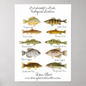 zoetwatervis Poster (Voorkant)