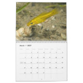 Zoetwatervisserij van de kalender van Mexico 2011 (Mar 2027)