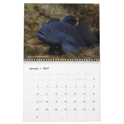 Zoetwatervisserij van de kalender van Mexico 2011 (Jan 2027)