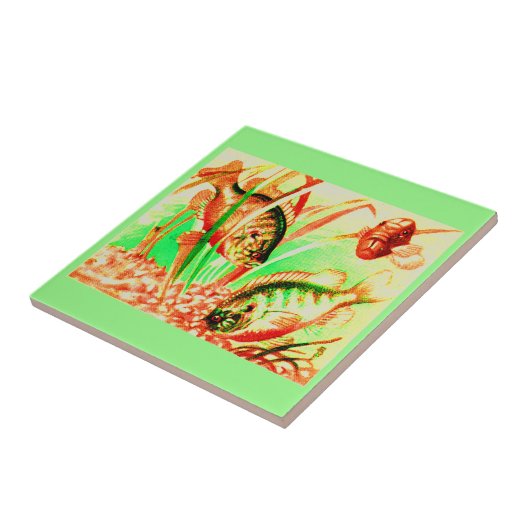 zoetwaterzonnevis tegeltje (Zijkant)