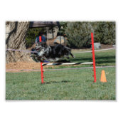 Zoey 1 foto afdruk (Voorkant)