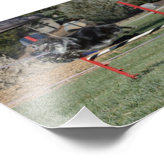 Zoey 1 foto afdruk (Hoek)