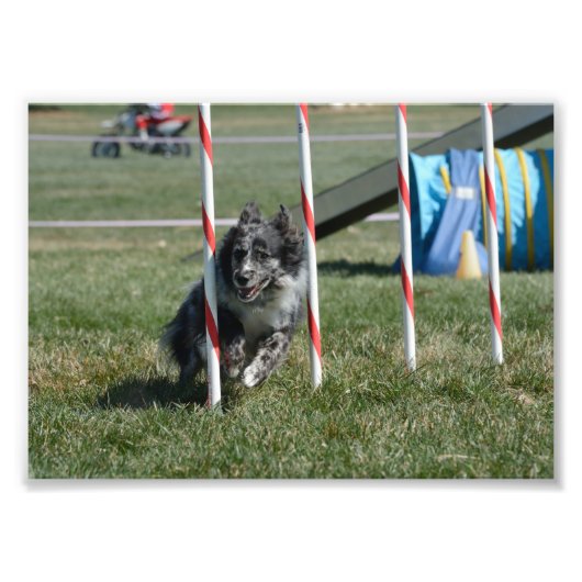 Zoey 2 foto afdruk (Voorkant)