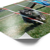 Zoey 2 foto afdruk (Hoek)