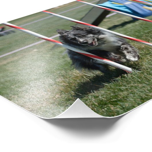 Zoey 2 foto afdruk (Hoek)