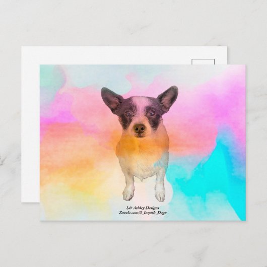 Zoey Disco Ansichtkaart Briefkaart (Voorkant / Achterkant)