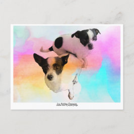 Zoey & Gracie Disco Blanco Ansichtkaart! Briefkaart