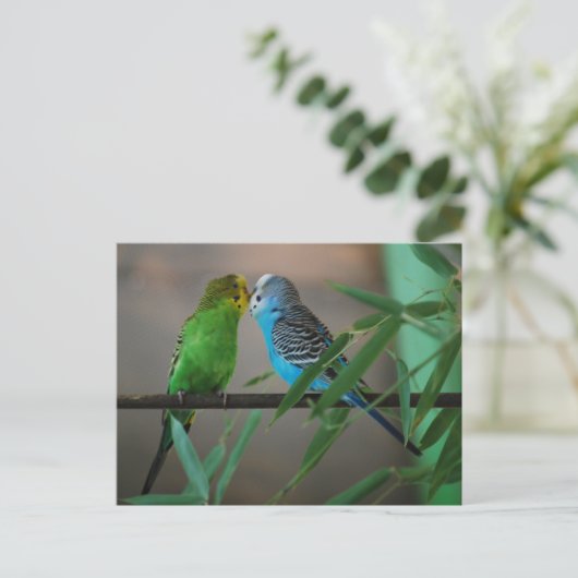 zogende parakeëten briefkaart (Staand voorkant)