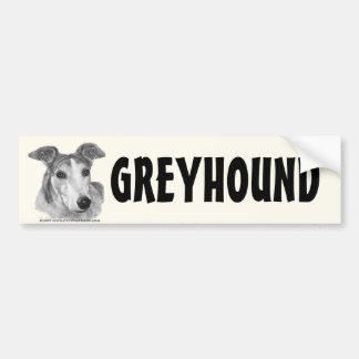 Zoie, Greyhound Bumpersticker