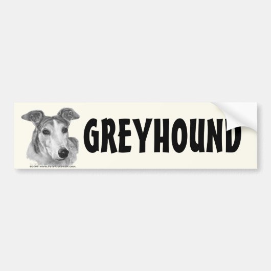 Zoie, Greyhound Bumpersticker (Voorkant)