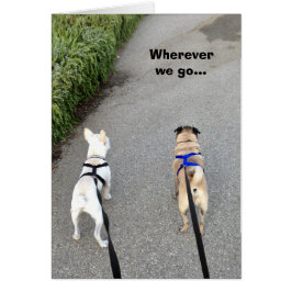 Zolang we samen zijn