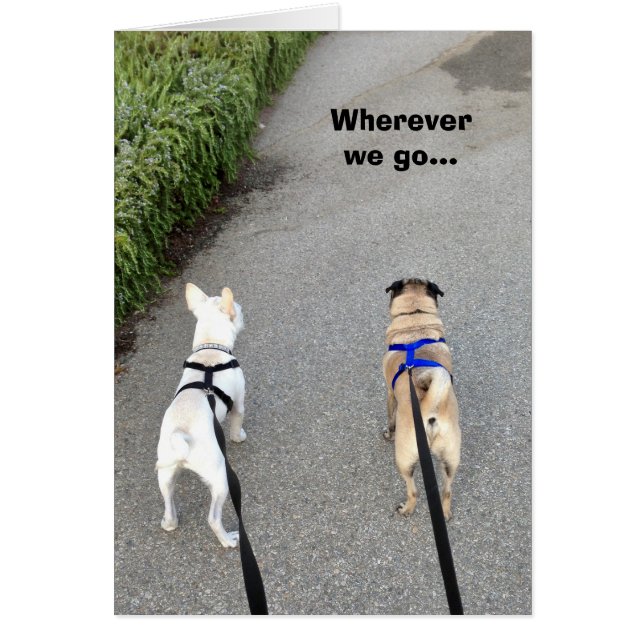 Zolang we samen zijn (Voorkant)