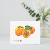 Zomabrikozen genieten de waterverf van het leven briefkaart (Staand voorkant)