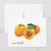 Zomabrikozen genieten de waterverf van het leven briefkaart (Voorkant / Achterkant)