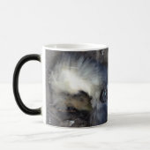 ZOMBIE CAT IN MIJN DRINK! MAGISCHE MOK (Links)