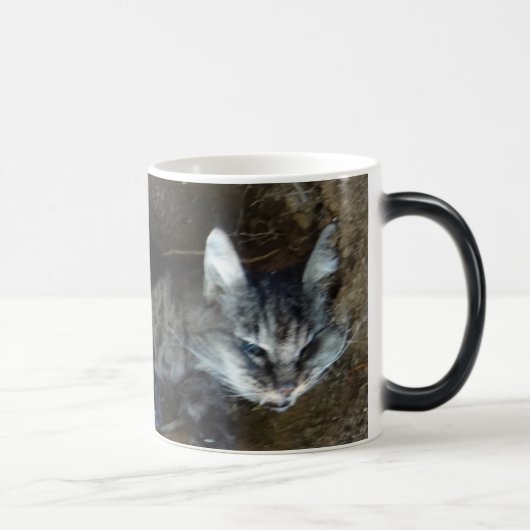 ZOMBIE CAT IN MIJN DRINK! MAGISCHE MOK (Rechts)