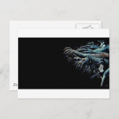 Zombie handen briefkaart (Voorkant / Achterkant)